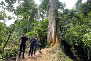 Hanoi: 2-dages tur til Ninh Binh – Cuc Phuong-junglen og Tam Coc på cykel