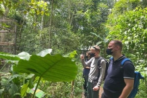 Hanoi: 2-dages tur til Ninh Binh – Cuc Phuong-junglen og Tam Coc på cykel