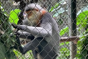 Hanoi: 2-dages tur til Ninh Binh – Cuc Phuong-junglen og Tam Coc på cykel