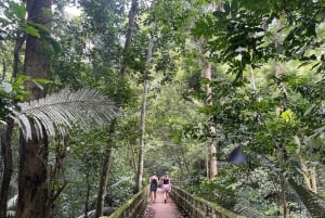 Hanoi: 2-dages tur til Ninh Binh – Cuc Phuong-junglen og Tam Coc på cykel