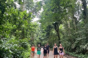 Hanoi: 2-dages tur til Ninh Binh – Cuc Phuong-junglen og Tam Coc på cykel