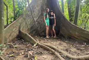 Hanoi: 2-dages tur til Ninh Binh – Cuc Phuong-junglen og Tam Coc på cykel