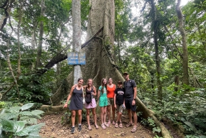 Hanoi: 2-dages tur til Ninh Binh – Cuc Phuong-junglen og Tam Coc på cykel