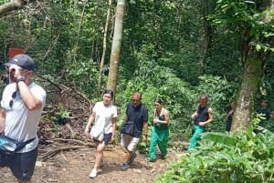 Hanoi: 2-dages tur til Ninh Binh – Cuc Phuong-junglen og Tam Coc på cykel