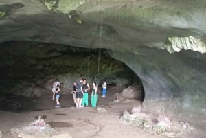 Hanoi: 2-dages tur til Ninh Binh – Cuc Phuong-junglen og Tam Coc på cykel