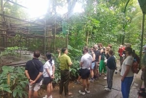 Hanoi: 2-dages tur til Ninh Binh – Cuc Phuong-junglen og Tam Coc på cykel