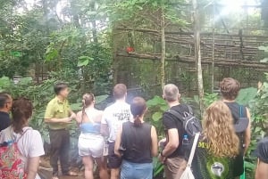 Hanoi: 2-dages tur til Ninh Binh – Cuc Phuong-junglen og Tam Coc på cykel