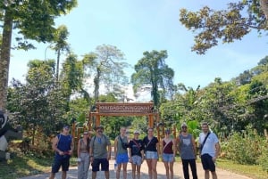 Hanoi: 2-dages tur til Ninh Binh – Cuc Phuong-junglen og Tam Coc på cykel