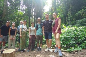 Hanoi: 2-dages tur til Ninh Binh – Cuc Phuong-junglen og Tam Coc på cykel