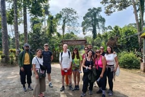 Hanoi: 2-dages tur til Ninh Binh – Cuc Phuong-junglen og Tam Coc på cykel