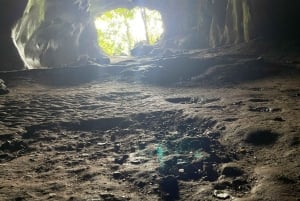 ハノイ発：ニンビン、ククフォン国立公園、タムコック 2日間自転車ツアー