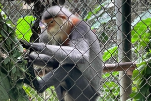 ハノイ発：ニンビン、ククフォン国立公園、タムコック 2日間自転車ツアー