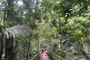 ハノイ発：ニンビン、ククフォン国立公園、タムコック 2日間自転車ツアー