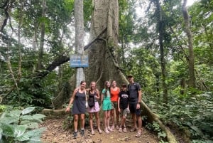 ハノイ発：ニンビン、ククフォン国立公園、タムコック 2日間自転車ツアー