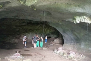 ハノイ発：ニンビン、ククフォン国立公園、タムコック 2日間自転車ツアー