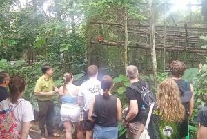 ハノイ発：ニンビン、ククフォン国立公園、タムコック 2日間自転車ツアー