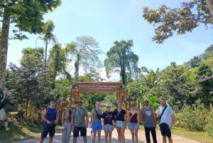 ハノイ発：ニンビン、ククフォン国立公園、タムコック 2日間自転車ツアー