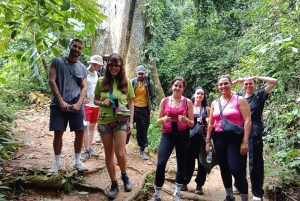 ハノイ発：ニンビン、ククフォン国立公園、タムコック 2日間自転車ツアー