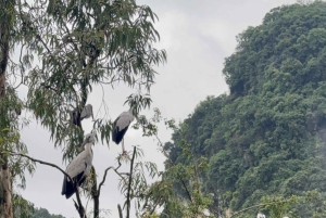 Hanoi: 2-dagers Ninh Bình-tur med båttur og pagoder