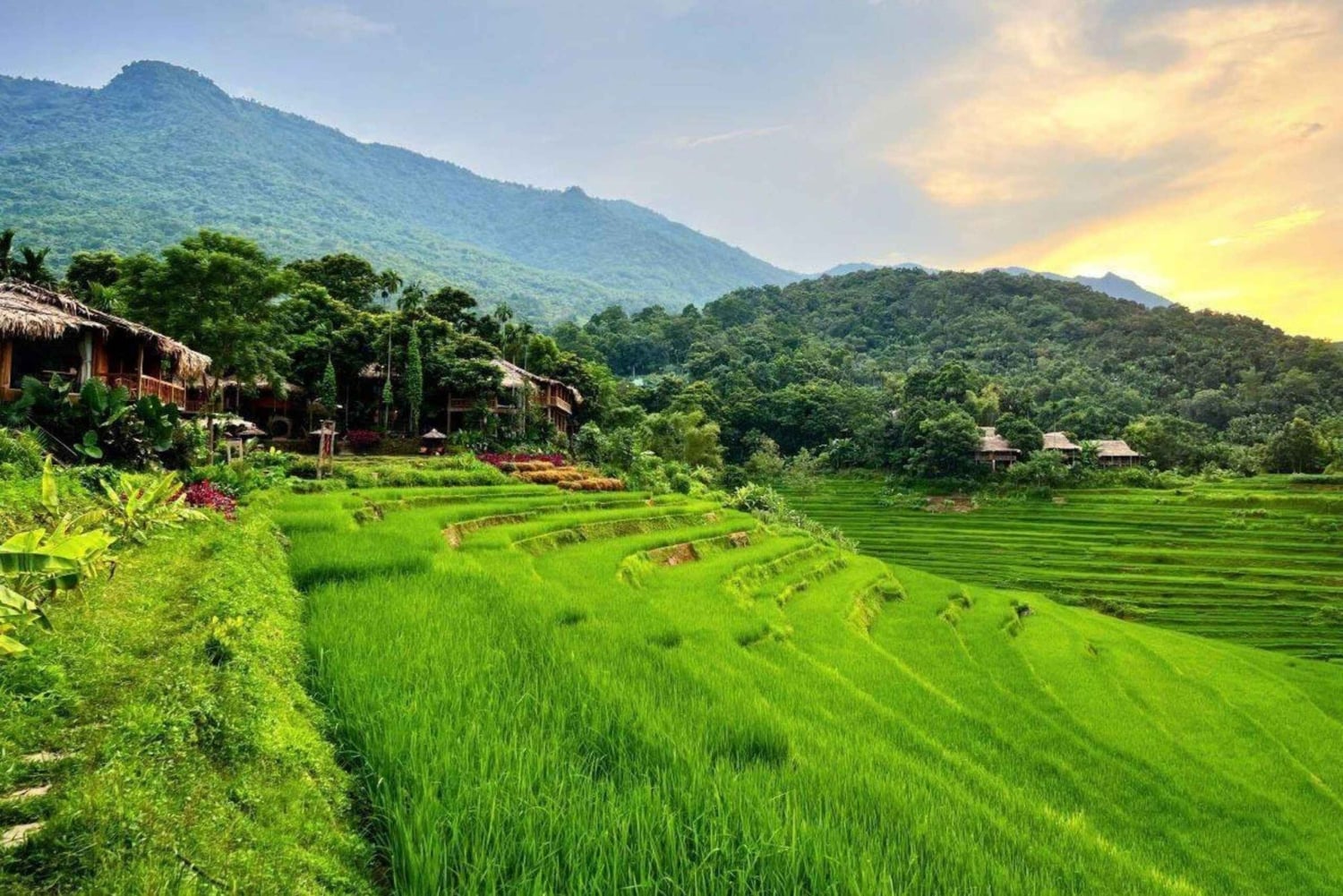 Hanoi: todagers fottur med guide i Pu Luong, avlevering i Ninh Binh