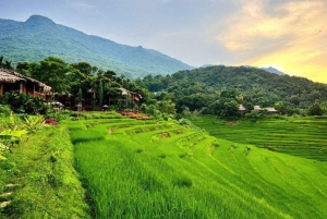 Hanoi: 2-daagse Pu Luong-trekking met gids, afzetten in Ninh Binh