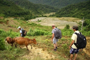Hanoi: 2-daagse Pu Luong-trekking met gids, afzetten in Ninh Binh
