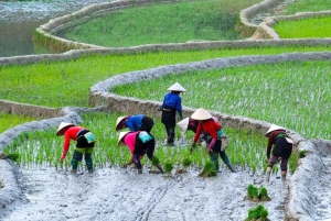 Hanoi: 2-daagse Pu Luong-trekking met gids, afzetten in Ninh Binh