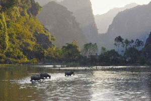 Hanoi: 2-daagse Pu Luong-trekking met gids, afzetten in Ninh Binh
