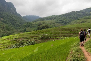 Hanoi: 2-daagse Pu Luong-trekking met gids, afzetten in Ninh Binh