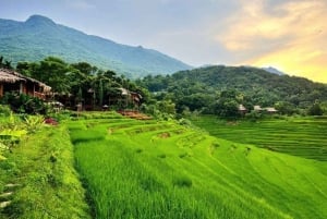 Hanoi: todagers fottur med guide i Pu Luong, avlevering i Ninh Binh