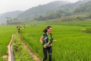 Hanoi: todagers fottur med guide i Pu Luong, avlevering i Ninh Binh
