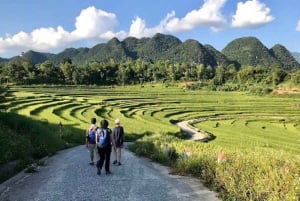 Hanoi: todagers fottur med guide i Pu Luong, avlevering i Ninh Binh