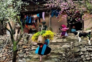 Hanoi: 2-Day Sa Pa Guided Village & Homestay Trekking Tour