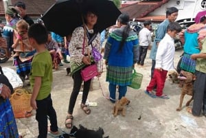 Hanoi: 2-Day Sa Pa Guided Village & Homestay Trekking Tour