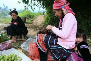 Hanoi: 2-Day Sa Pa Guided Village & Homestay Trekking Tour