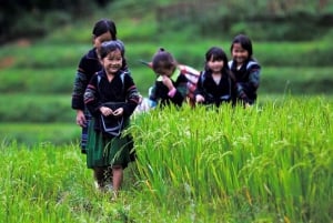 Hanoi: 2-Day Sa Pa Guided Village & Homestay Trekking Tour