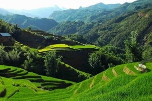Hanoi: 2-Day Sa Pa Guided Village & Homestay Trekking Tour
