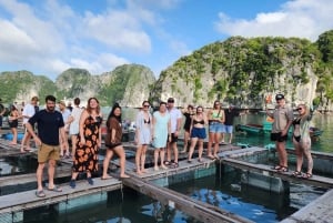 Hanoi: 2 dagar på Cat Ba Island, Lan Ha Bay Cruise, Ninh Binh