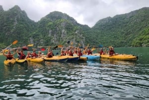 Hanoi: 2 dagar på Cat Ba Island, Lan Ha Bay Cruise, Ninh Binh