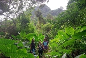 Hanoi: 2 dagar på Cat Ba Island, Lan Ha Bay Cruise, Ninh Binh