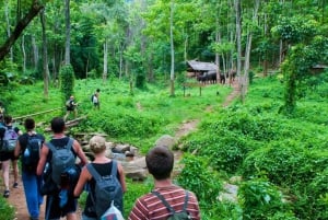 Hanoi: 2 dni Trang An, Bai Dinh, Park Narodowy Cuc Phuong