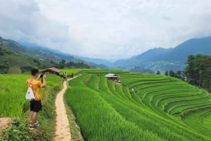 Hanoi: tour in moto di 3 giorni a Mu Cang Chai, trekking, vita locale