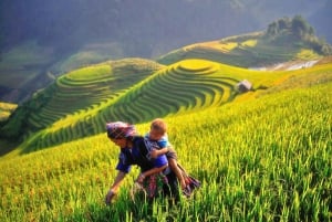 Hanoi: tour in moto di 3 giorni a Mu Cang Chai, trekking, vita locale
