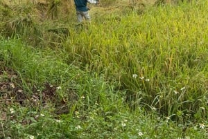 Hanoi: 3-dagars privat tur till Ba Vì, Mai Châu och Pu Luong