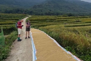 Hanoi: 3-dagars privat tur till Ba Vì, Mai Châu och Pu Luong