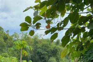 Hanoi: 3-dagars privat tur till Ba Vì, Mai Châu och Pu Luong