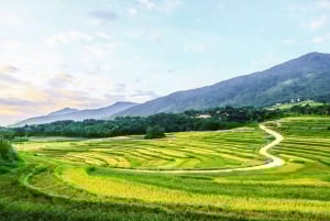 Hanoi: 3-dniowa wycieczka do Pu Luong i Ninh Binh z przewodnikiem i zakwaterowaniem u rodziny goszczącej