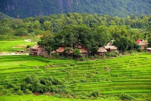 Hanoi: 3-dniowa wycieczka do Pu Luong i Ninh Binh z przewodnikiem i zakwaterowaniem u rodziny goszczącej