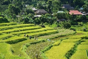 Hanoi: 3-dniowa wycieczka do Pu Luong i Ninh Binh z przewodnikiem i zakwaterowaniem u rodziny goszczącej