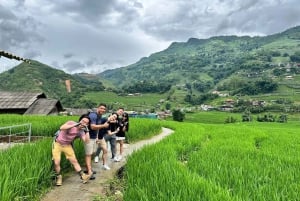 Hanoi: 3-dages Sapa-eventyr – Lao Chai, Cat Cat og Fansipan-bjergtoppen